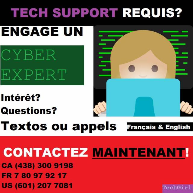TECH SUPPORT - INFORMATIQUE - Bilingual Experts (services, conseils, contrats et sur demande)