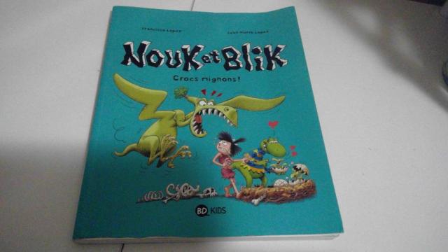 LIVRE NOUK ET BLIK