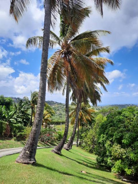 Villa piscine  de standing vue mer en Martinique