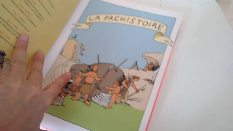 21€ L'histoire de France en BD (Casterman, Feux — 4/5