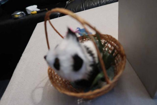 Panier de décoration avec un petite panda