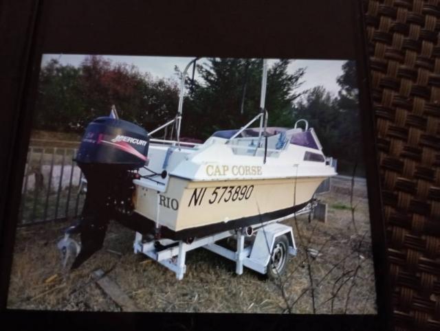 Vend bateau a moteur 50cv hors-bord