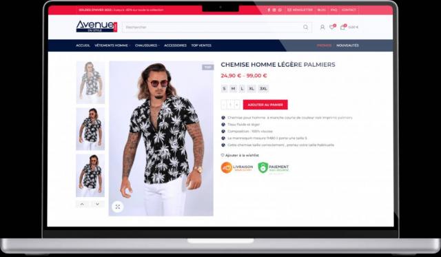 Site professionnel ecommerce et site vitrine pas cher