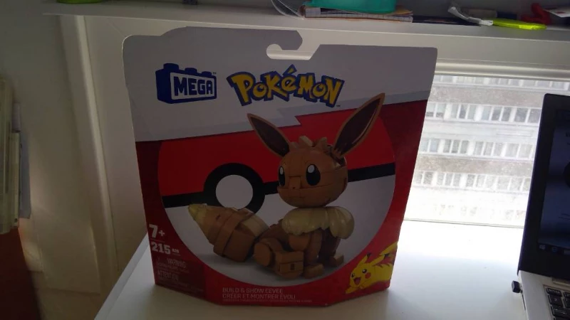 Mega Pokémon Évoli